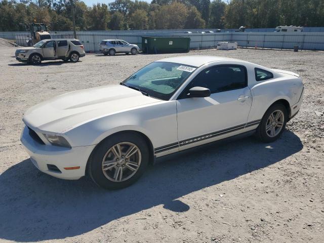 2012 FORD MUSTANG - 1ZVBP8AMXC5265694