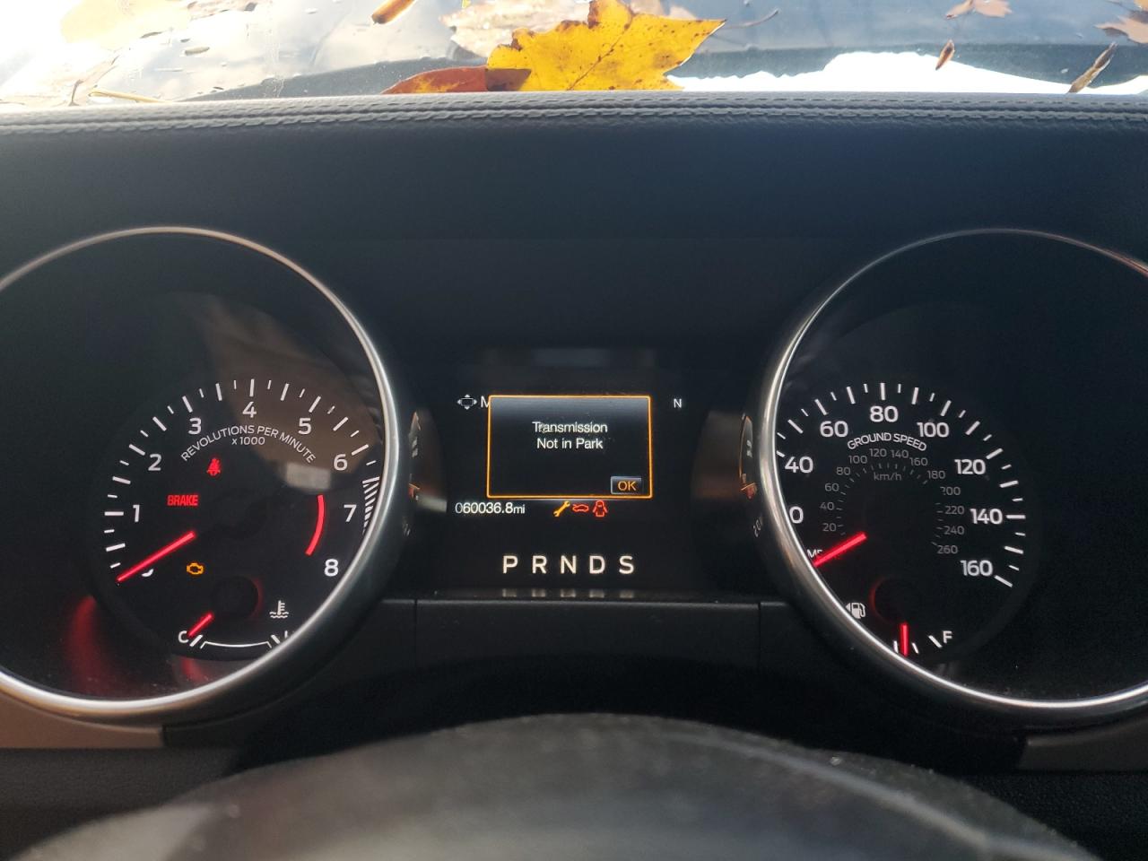 Lot #3311582808 2020 FORD MUSTANG