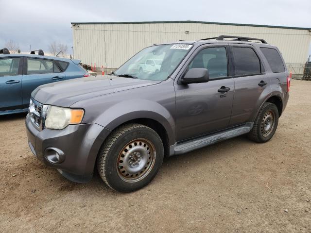 2010 FORD ESCAPE XLT - 1FMCU9DG4AKD28973