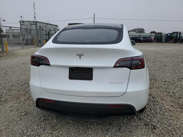 2023 TESLA MODEL Y #3311762308