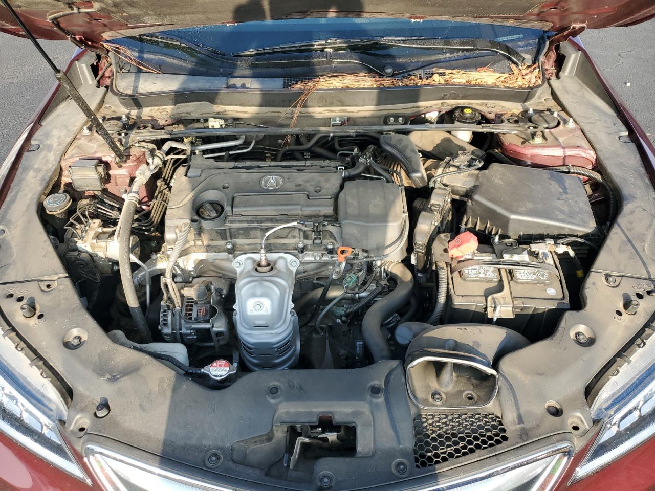 Lot #3311603310 2016 ACURA TLX TECH