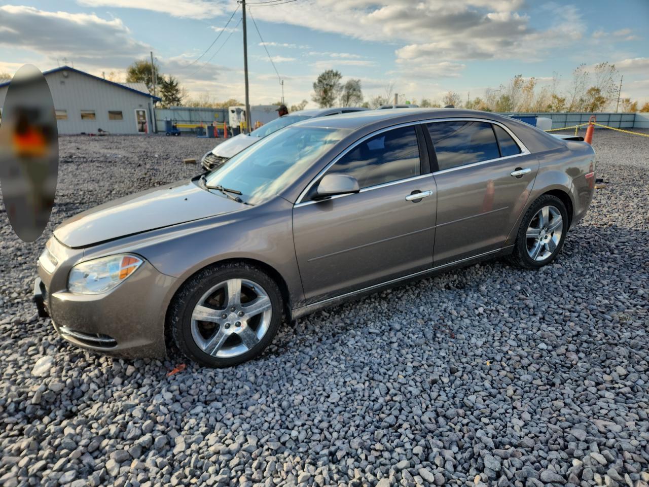 CHEVROLET MALIBU 1LT