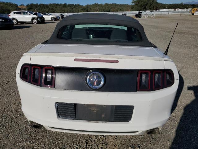 2013 FORD MUSTANG - 1ZVBP8EM2D5229705