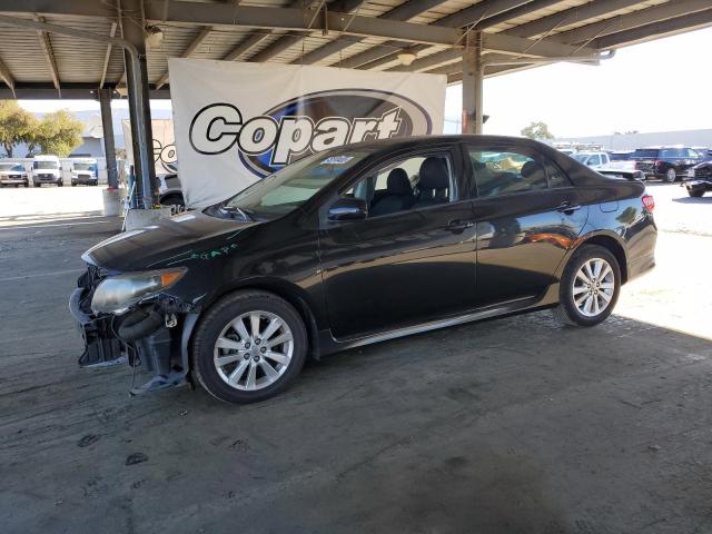 2010 TOYOTA COROLLA BA - 2T1BU4EE5AC532165