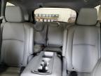 Lot #3303779445 2024 HONDA ODYSSEY EX