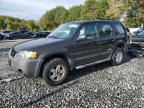Lot #3312445623 2007 FORD ESCAPE XLS