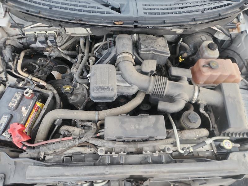 2010 FORD F150 - 1FTFW1CV2AFA08525