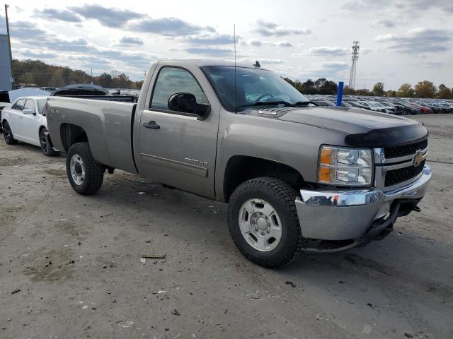 2014 CHEVROLET SILVERADO - 1GC0KXCG0EF101300