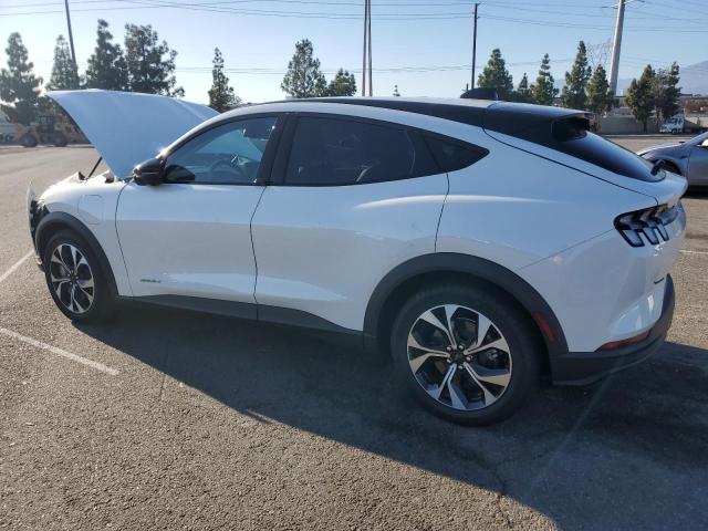 2025 FORD MUSTANG MA #3301946439