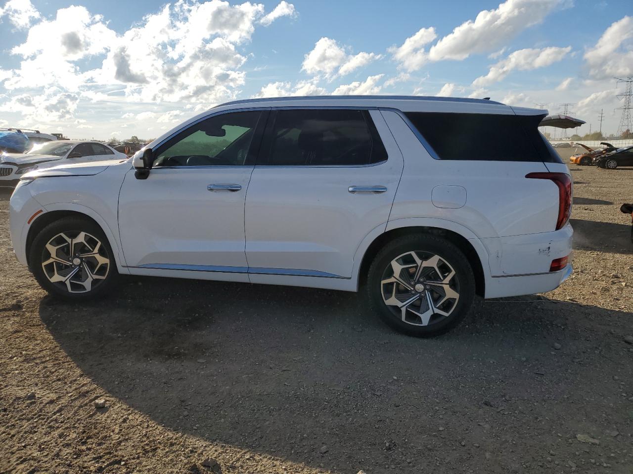 HYUNDAI PALISADE CALLIGRAPHY