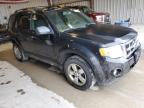 Lot #3310600319 2010 FORD ESCAPE XLT
