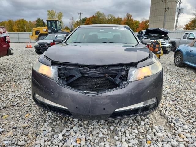 2010 ACURA TL - 19UUA8F25AA006833