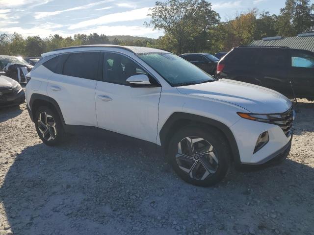 2023 HYUNDAI TUCSON SEL KM8JBDA29PU104555