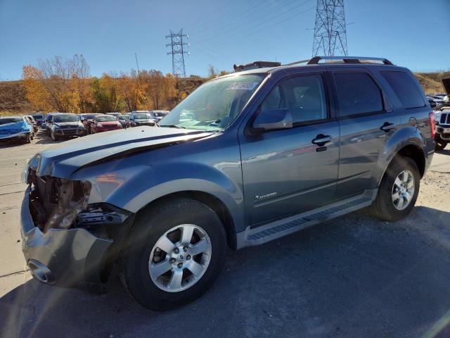 2010 FORD ESCAPE HYB - 1FMCU5K38AKB91125