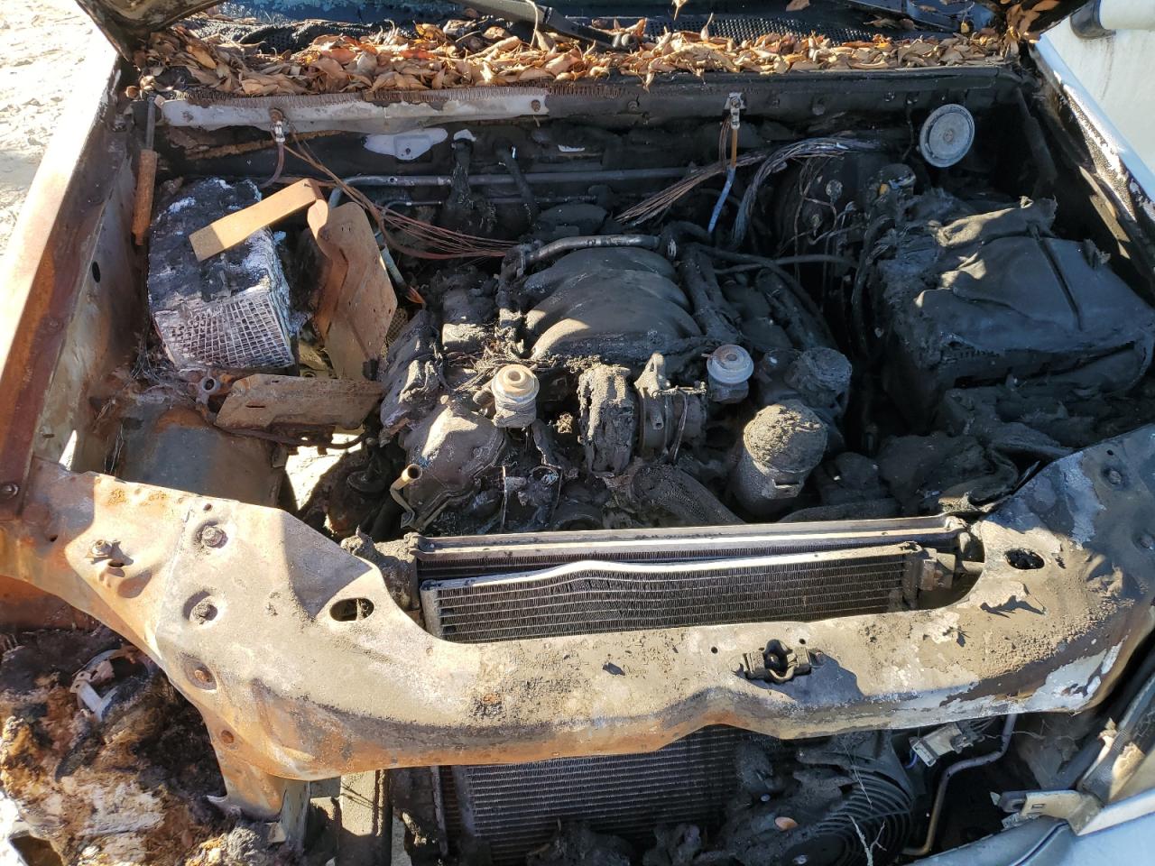 Lot #3278621946 2002 MERCEDES-BENZ ML 320