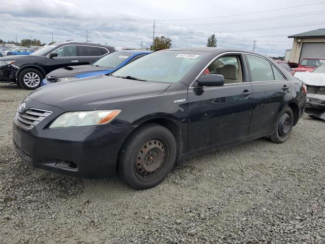 Global Auto Auctions: 2008 TOYOTA CAMRY HYBR