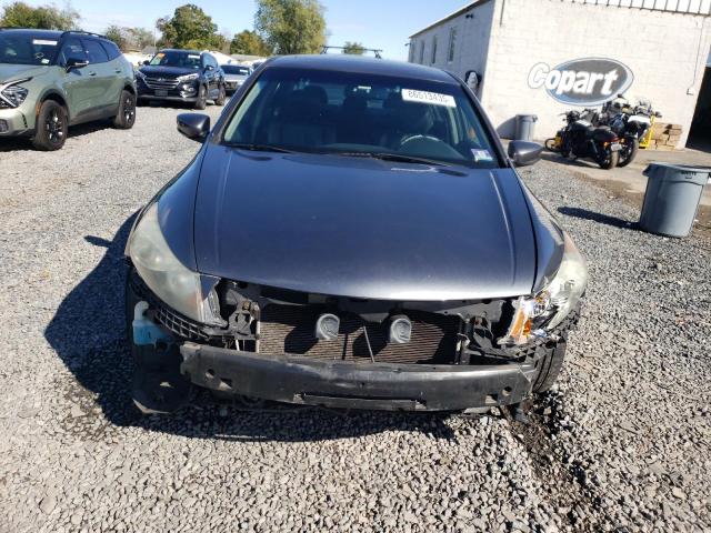 2010 HONDA ACCORD EXL - 1HGCP2F80AA183625