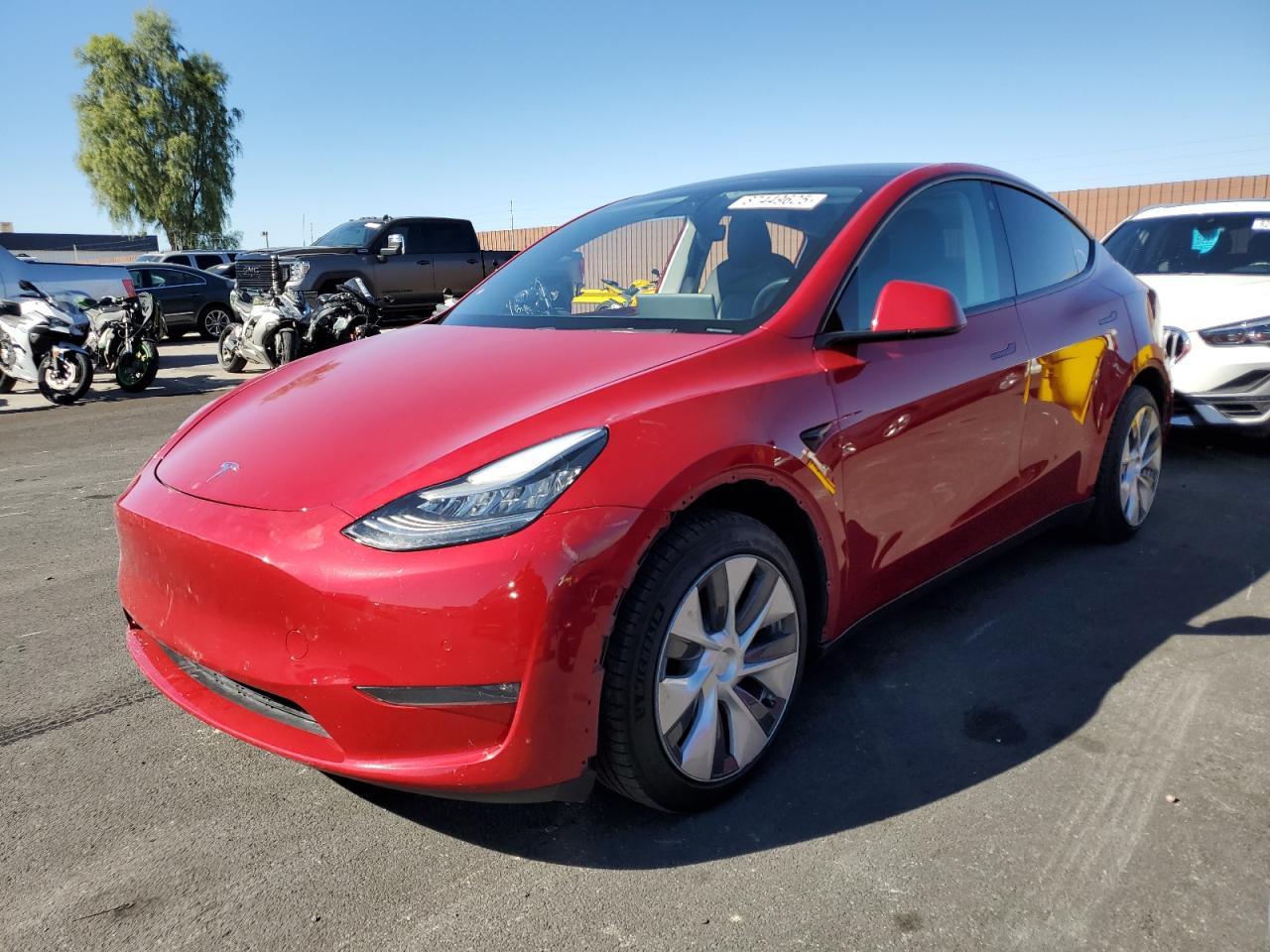 Lot #3294656033 2021 TESLA MODEL Y