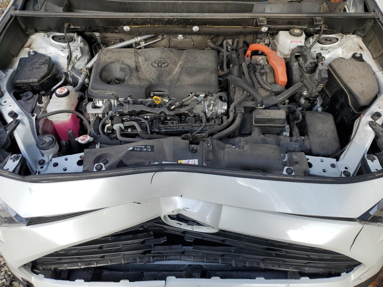 TOYOTA RAV4 XLE PREMIUM