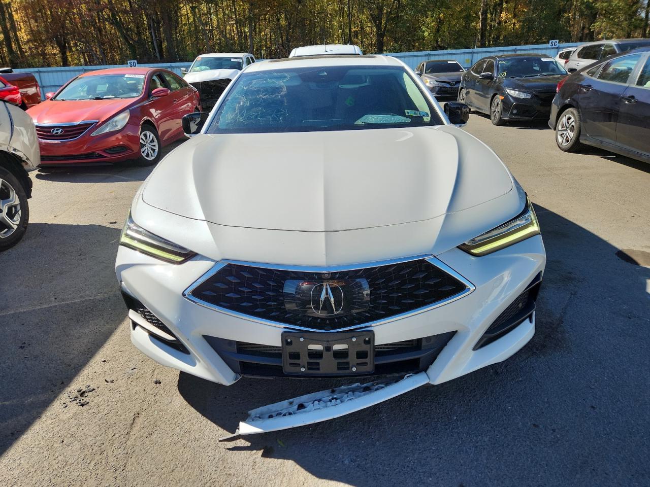ACURA TLX ADVANCE
