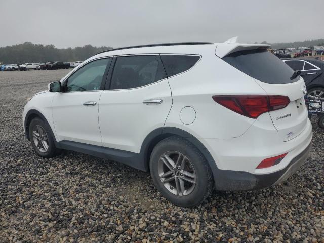 2017 HYUNDAI SANTA FE S - 5NMZU3LBXHH011173