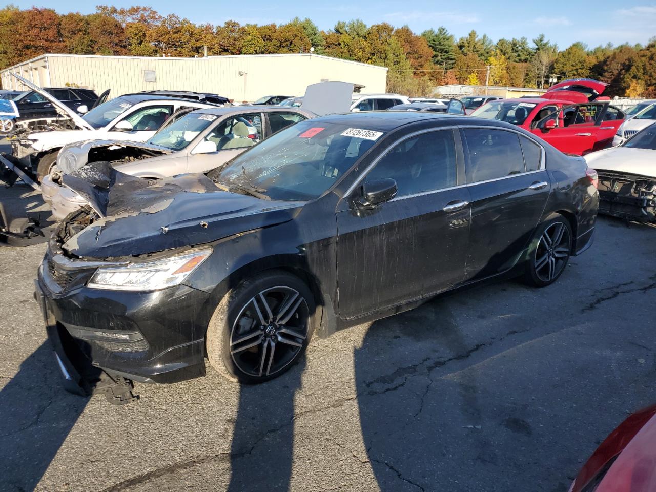 HONDA ACCORD TOURING