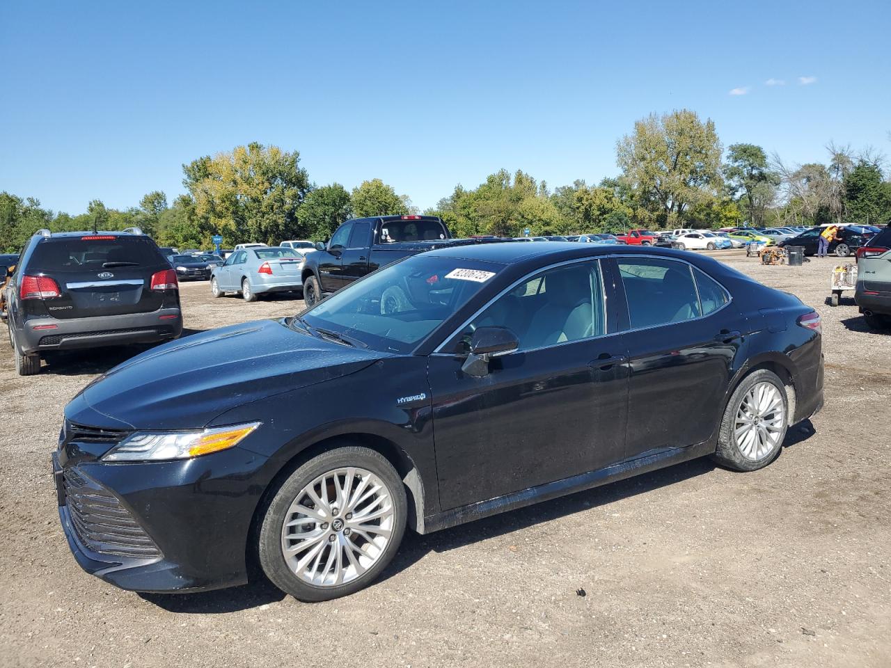 TOYOTA CAMRY HYBRID