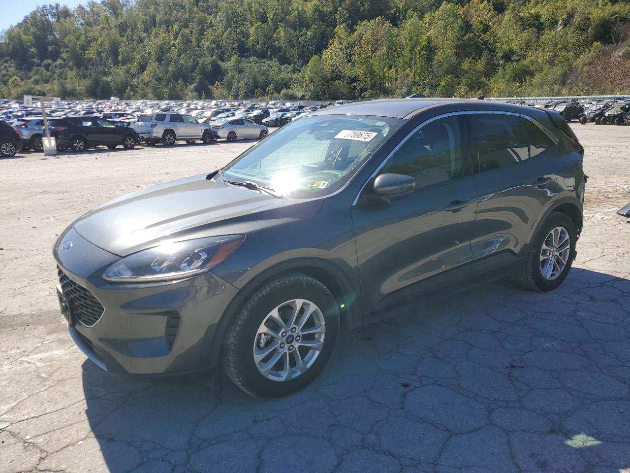 Lot #3290249246 2020 FORD ESCAPE SE