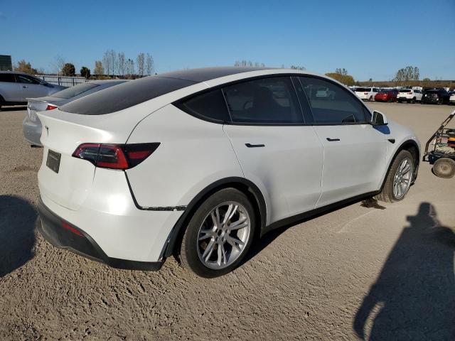 2024 TESLA MODEL Y 7SAYGDED4RF076727