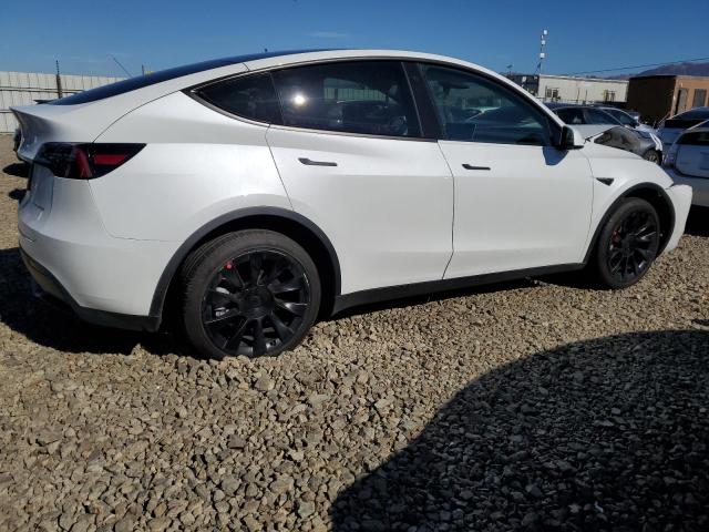 2023 TESLA MODEL Y - 7SAYGDEE6PF589144