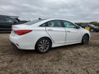 Lot #3292508676 2014 HYUNDAI SONATA SE