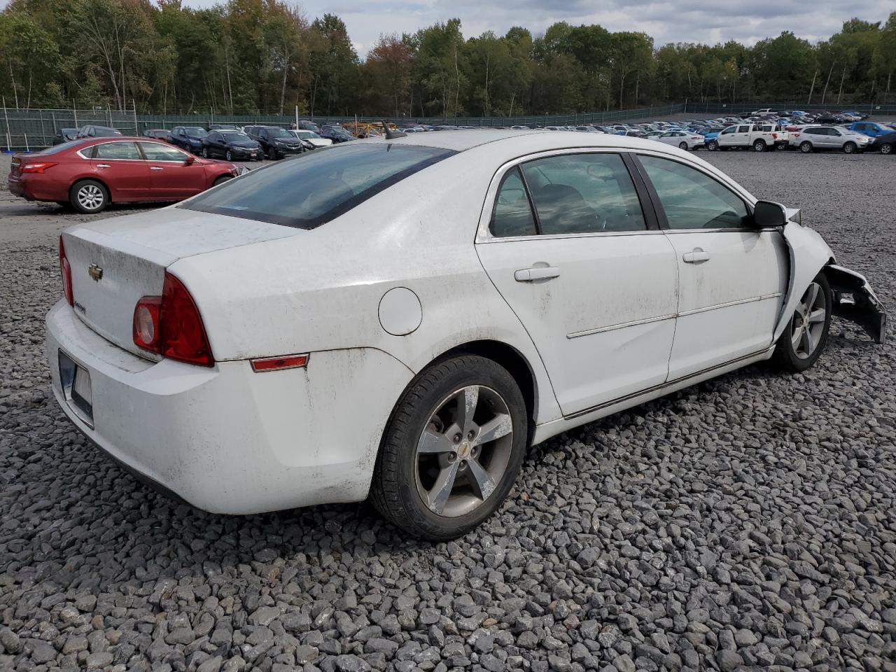 CHEVROLET MALIBU 1LT