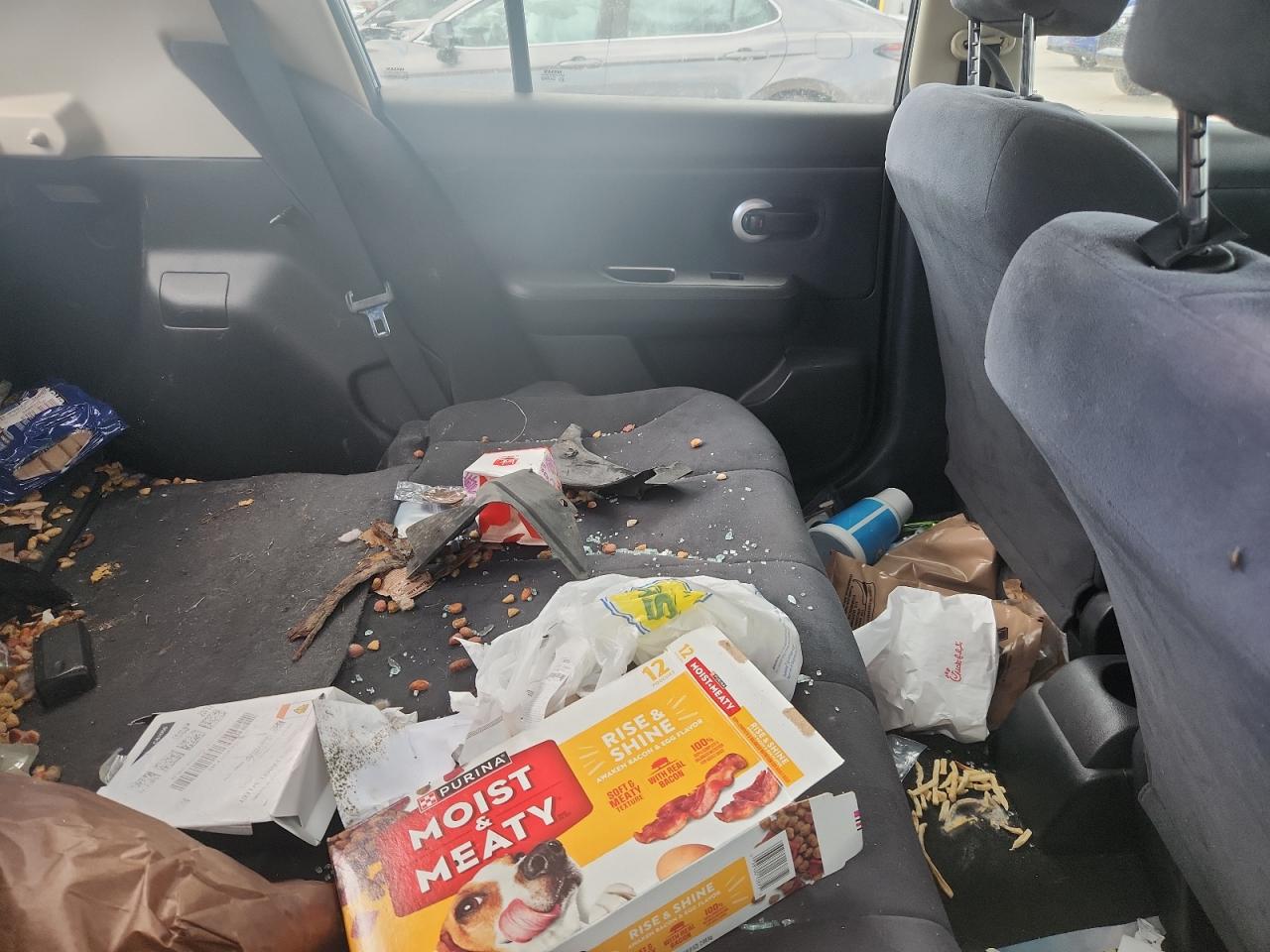 Lot #3285651285 2008 NISSAN VERSA S