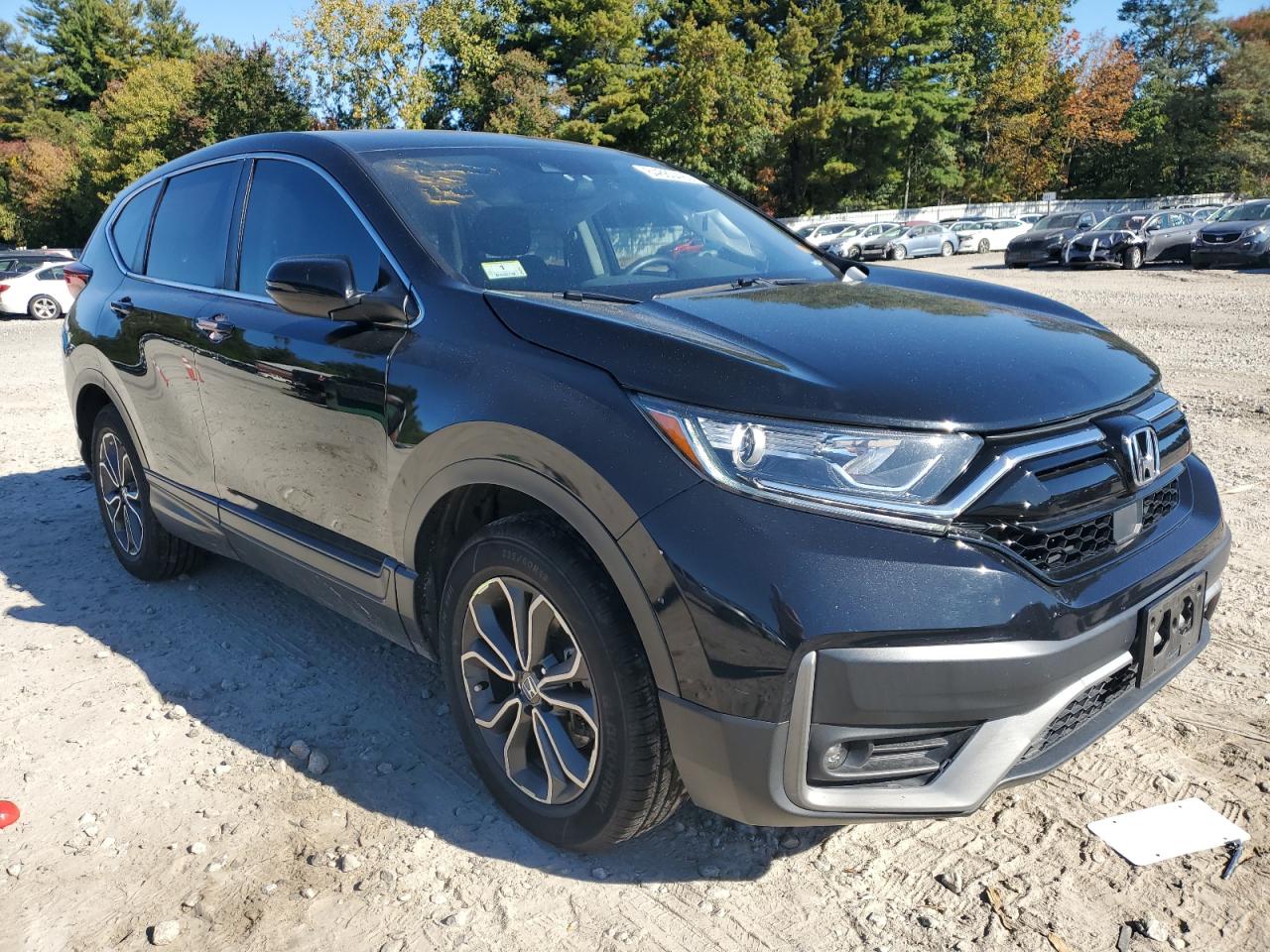 HONDA CR-V EX