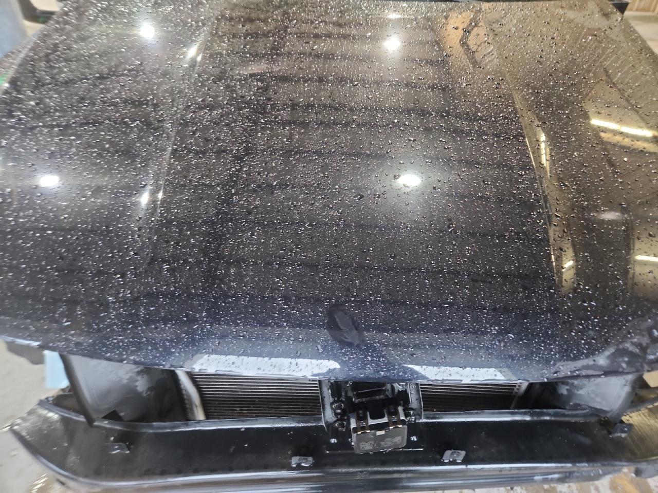 VOLKSWAGEN PASSAT SE