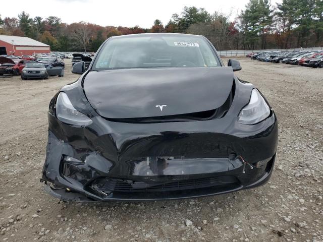 2023 TESLA MODEL Y #3296228434