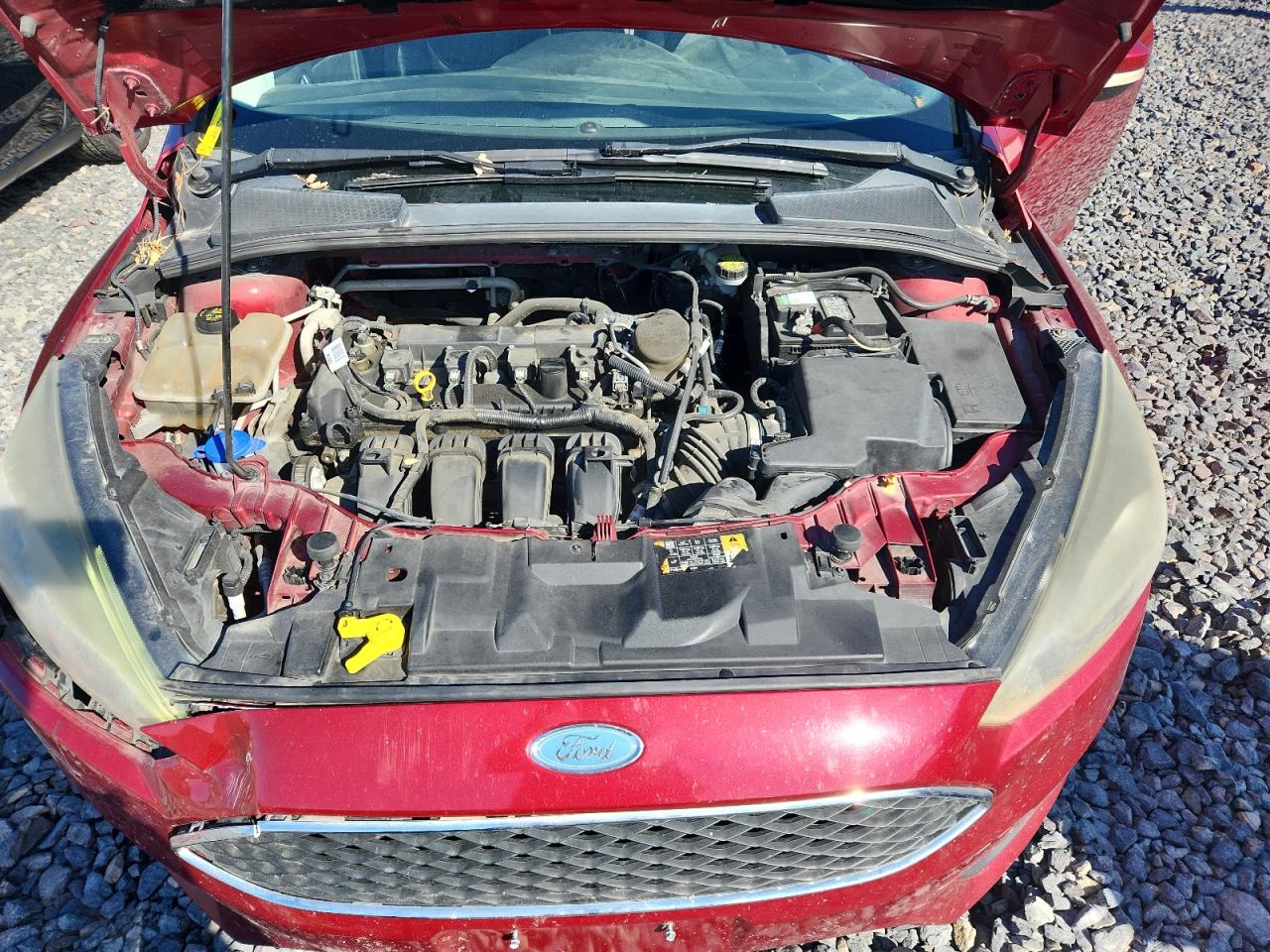 Lot #3291348150 2016 FORD FOCUS SE