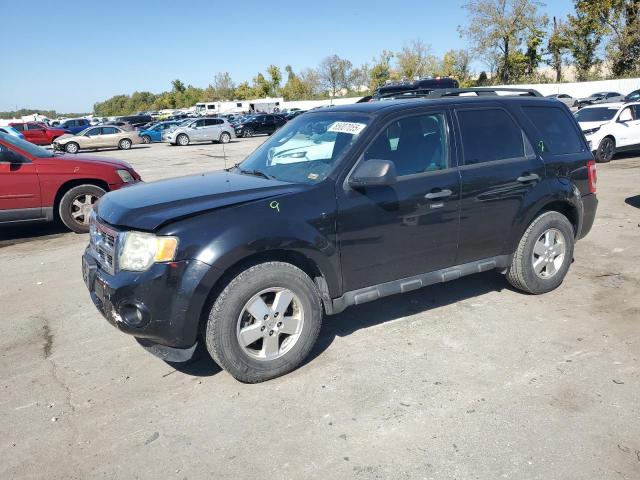 Global Auto Auctions: 2011 FORD ESCAPE XLT