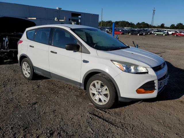 2014 FORD ESCAPE S - 1FMCU0F77EUB76920