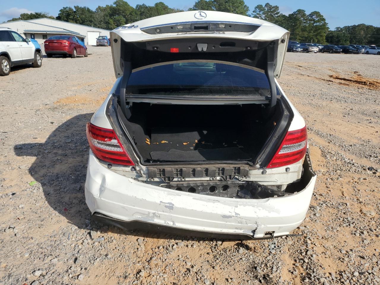 MERCEDES-BENZ C-CLASS 250