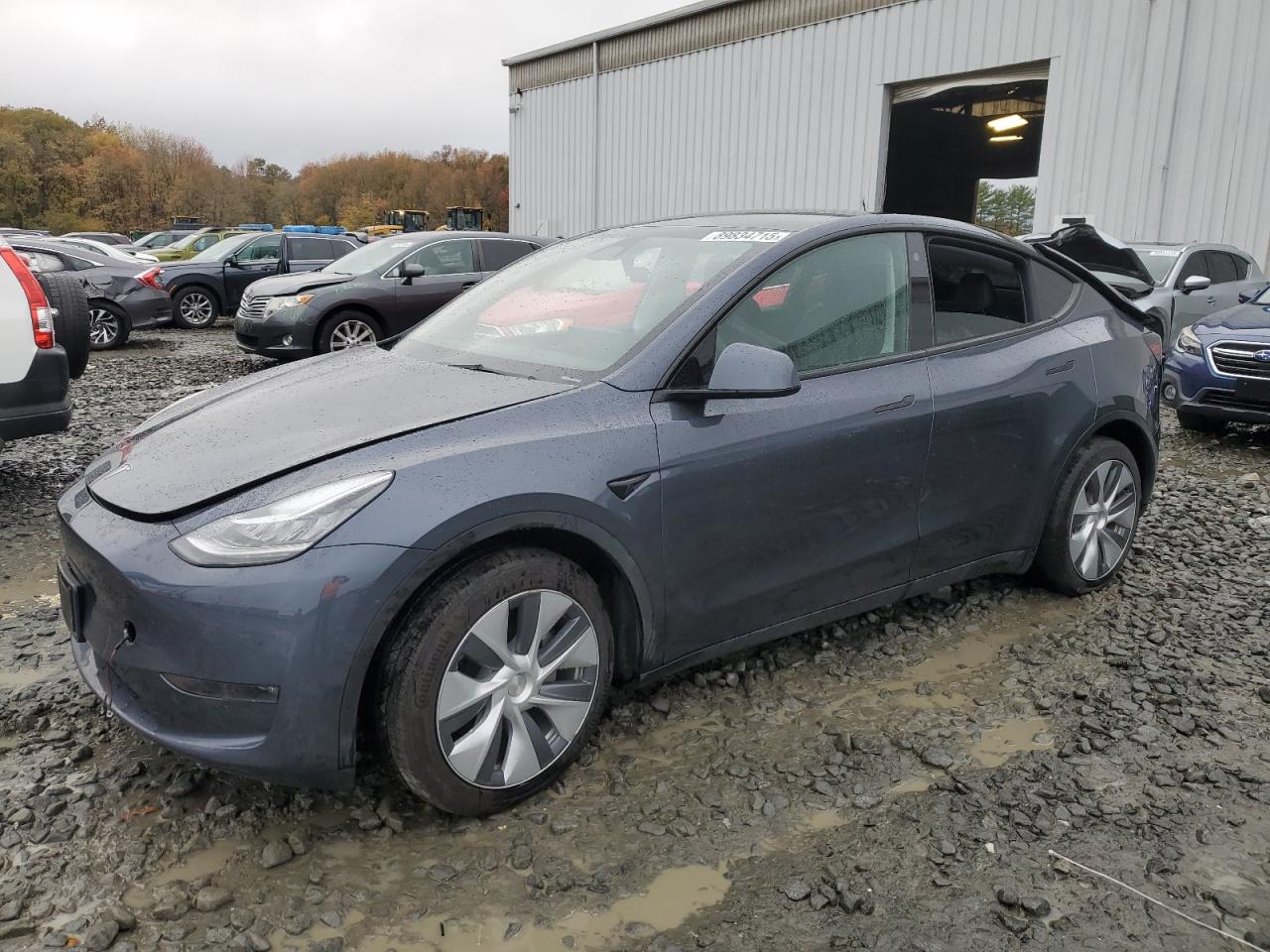 Lot #3302718027 2023 TESLA MODEL Y