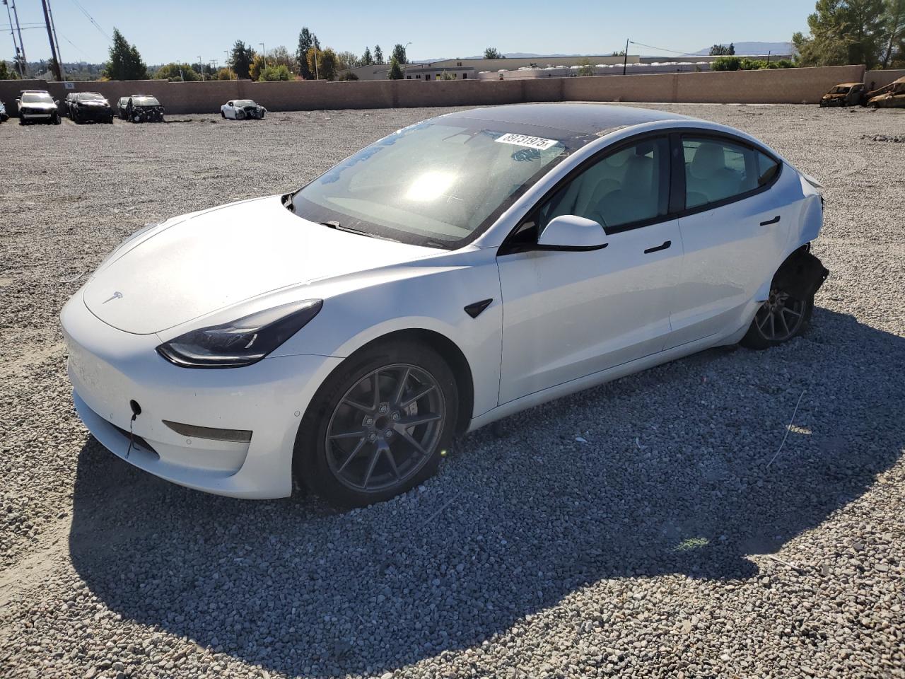 Lot #3302766383 2021 TESLA MODEL 3