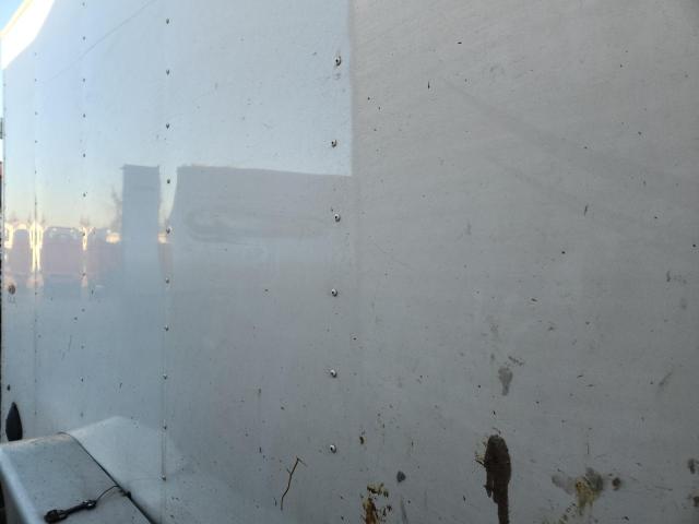 2024 LOOK TRAI #3285648272