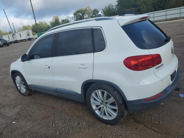 2013 VOLKSWAGEN TIGUAN S - WVGAV7AX3DW523795