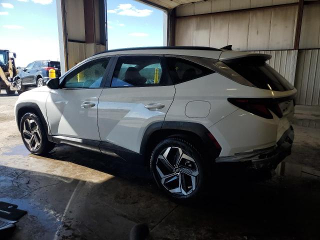 2024 HYUNDAI TUCSON SEL 5NMJBCDE3RH424694