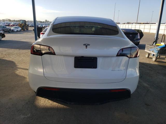 2023 TESLA MODEL Y #3302631048