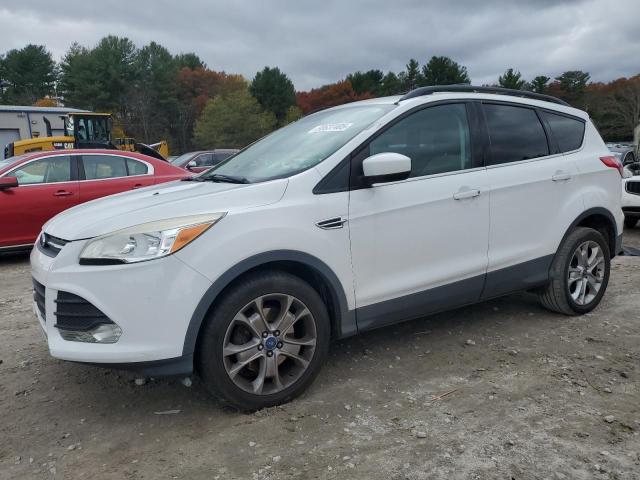 Global Auto Auctions: 2013 FORD ESCAPE SE