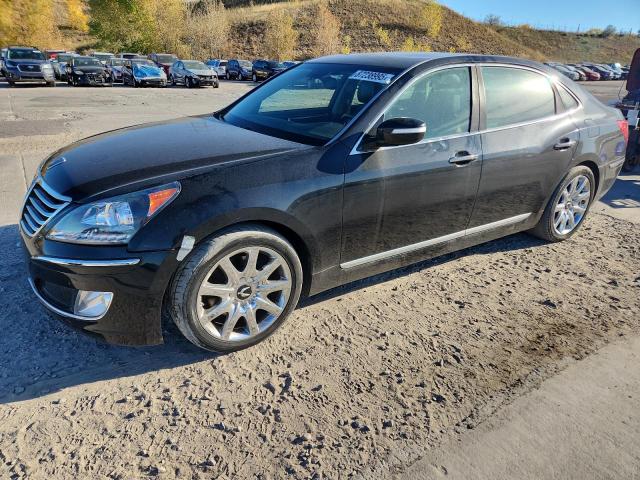 HYUNDAI EQUUS SIGN