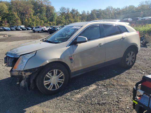 2011 CADILLAC SRX LUXURY - 3GYFNDEY9BS558484