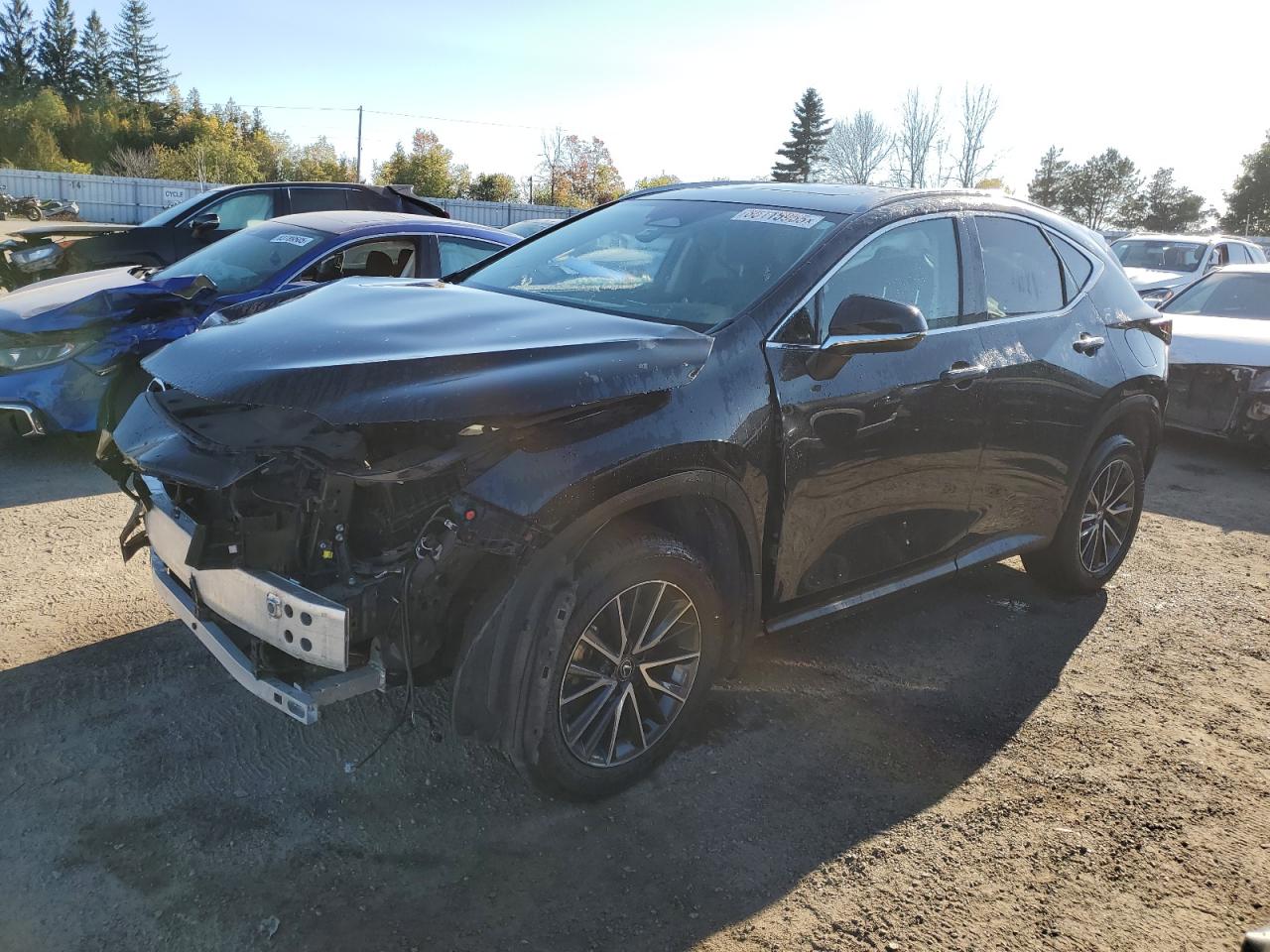 LEXUS NX 350H BASE